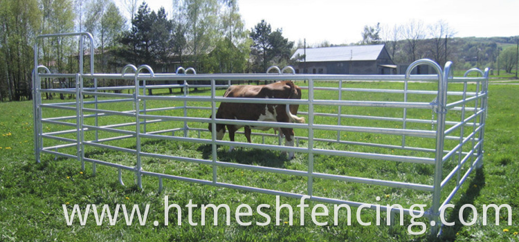 Hot Sales Australia Livestock Fence Corral Panel Cattle Fence Horse Fence